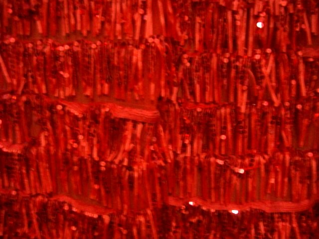 2.Red Fringe Fabrics With Sequins